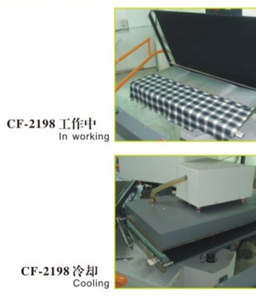 cf-2198-4